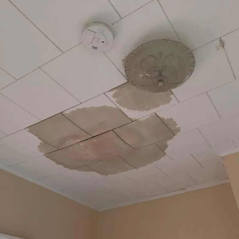 Ceiling Water Damage Repair in Pulaski, VA
