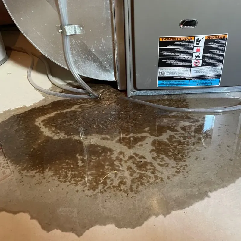 Pipe Burst and Leak Restoration in Pulaski, VA