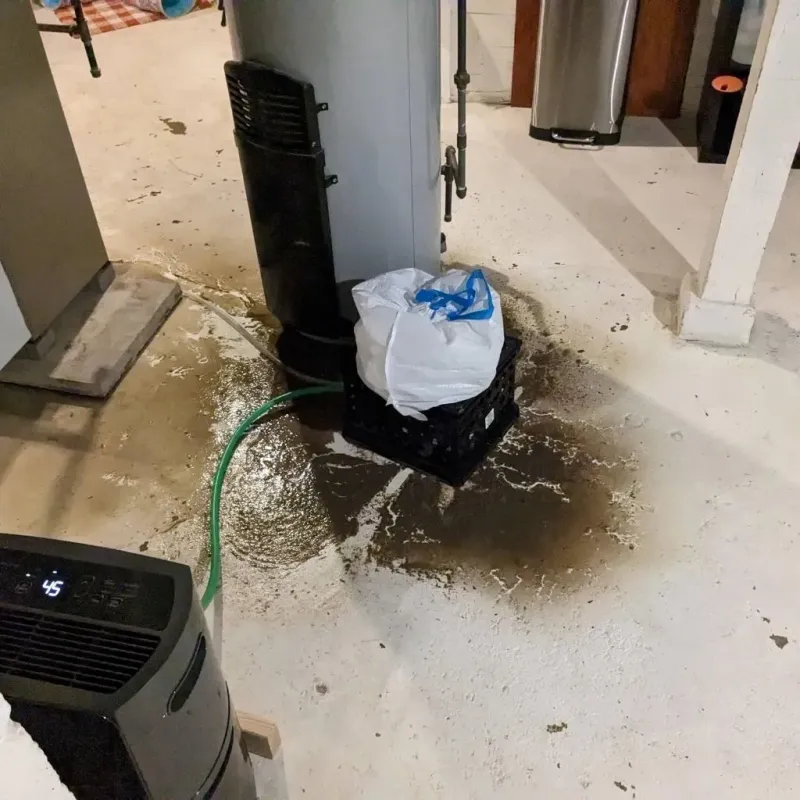 Sewage Backup Cleanup Service in Pulaski, VA